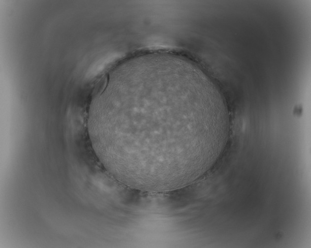 X0000113951157200910232000