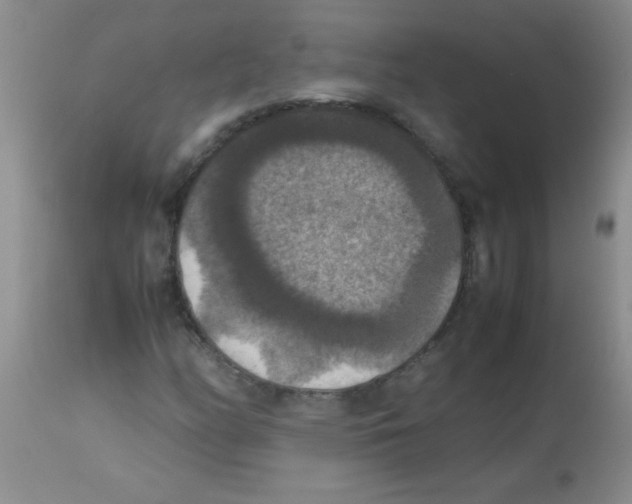 X0000113951158200910232000