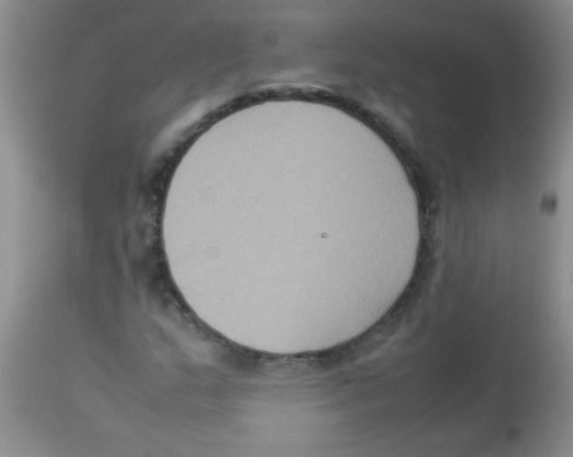 X0000113951159200910232000