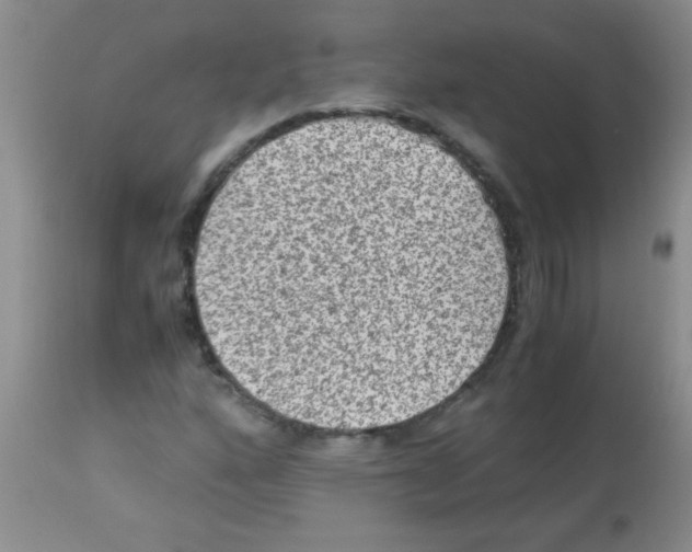 X0000113951160200910232000