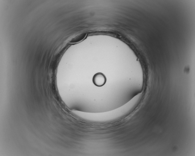 X0000113951161200910232000
