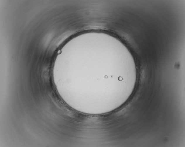 X0000113951162200910232000