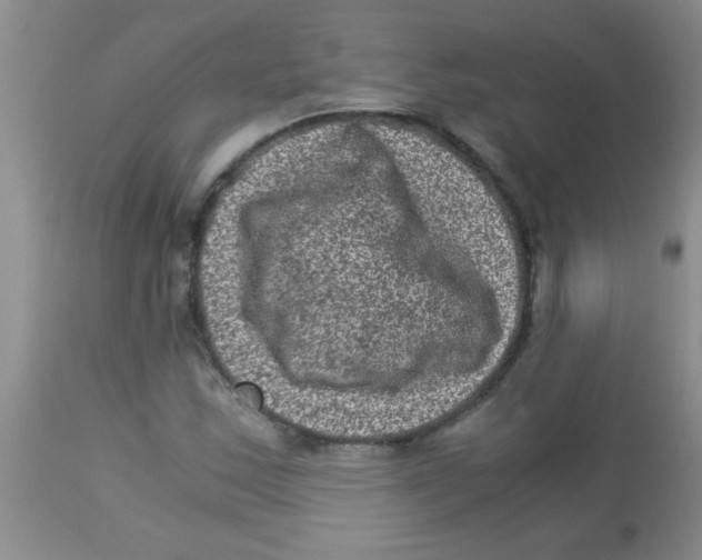 X0000113951163200910232000