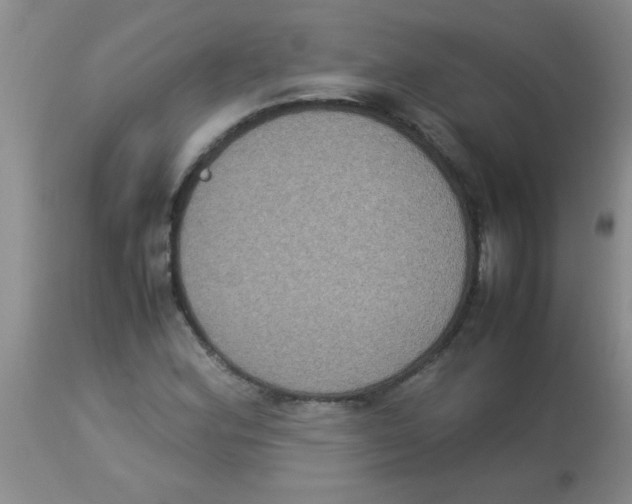 X0000113951164200910232000