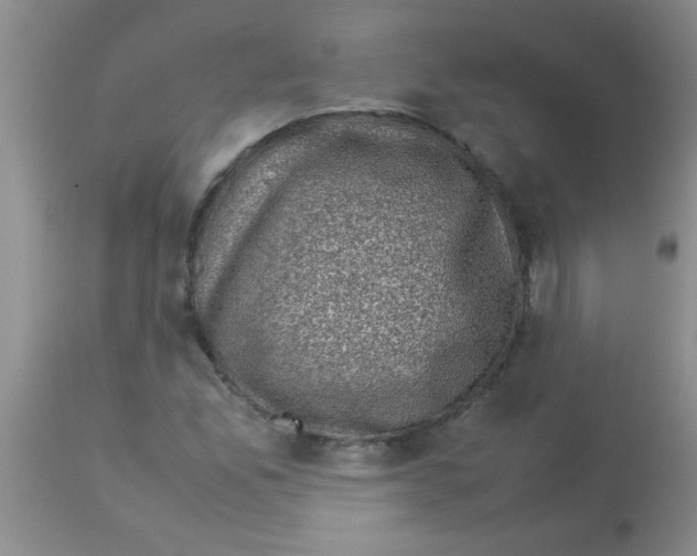 X0000113951165200910232000