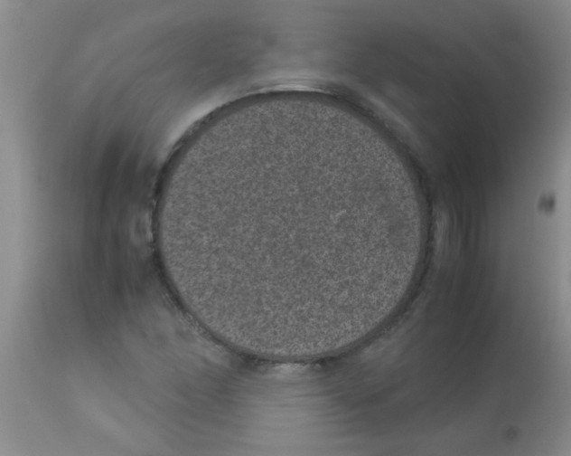 X0000113951166200910232000