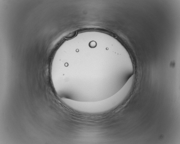 X0000113951167200910232000