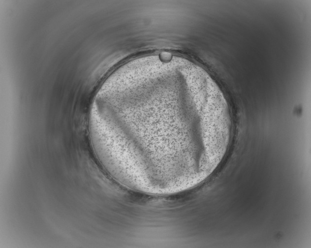 X0000113951169200910232000
