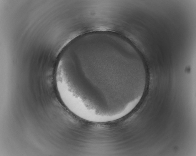 X0000113951170200910232000