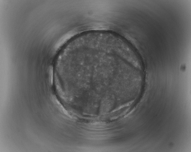 X0000113951171200910232000