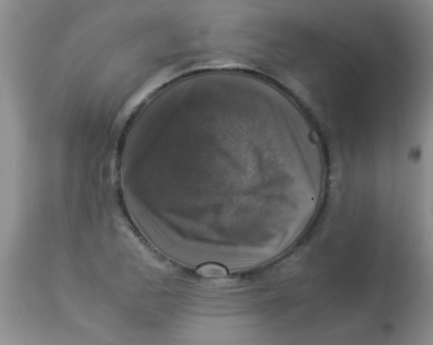 X0000113951173200910232000