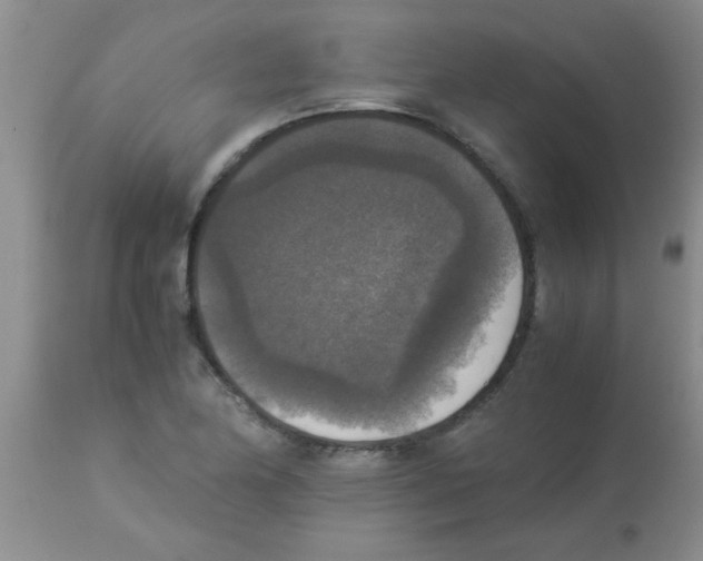 X0000113951174200910232000