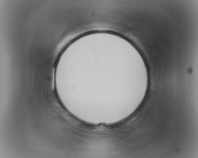 X0000113951175200910231959