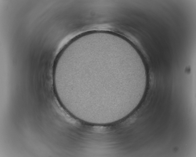 X0000113951176200910231959