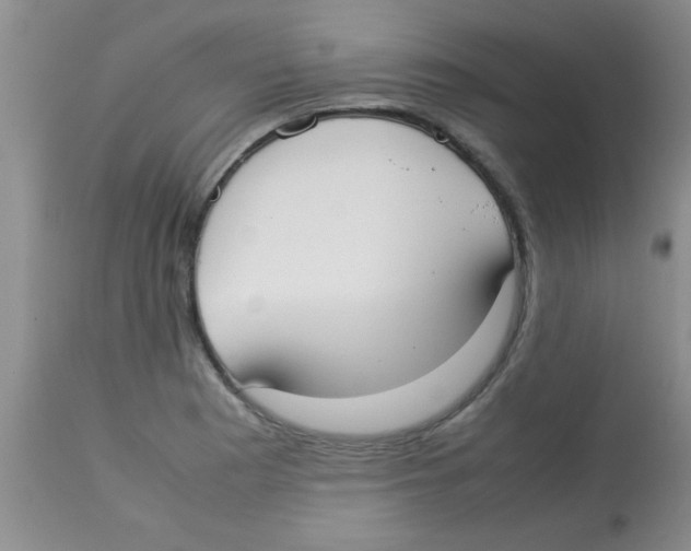 X0000113951177200910231959