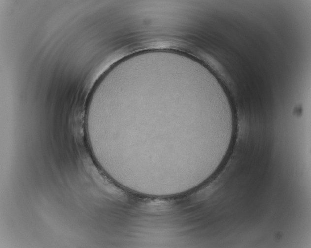 X0000113951178200910231959