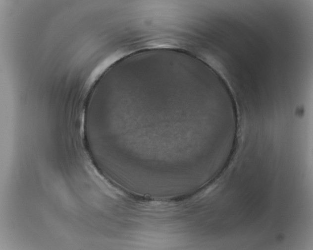 X0000113951179200910231959