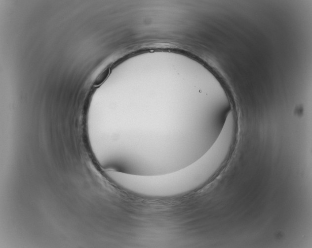 X0000113951181200910231959