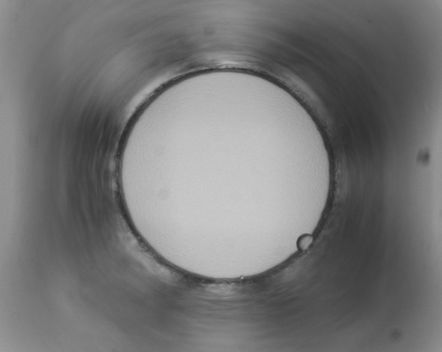 X0000113951182200910231959