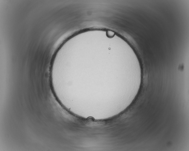 X0000113951183200910231959