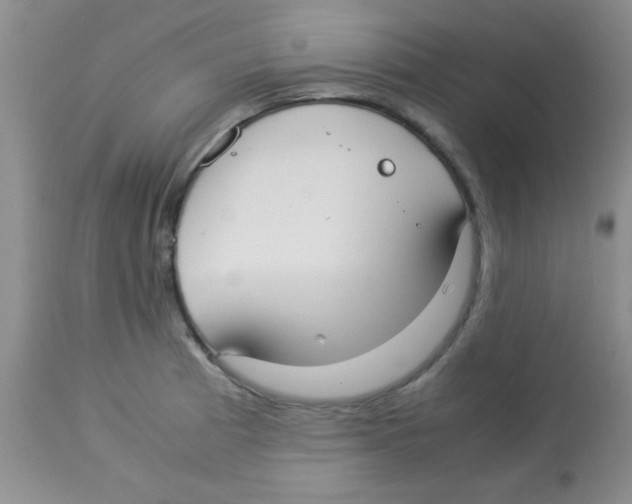 X0000113951185200910231959