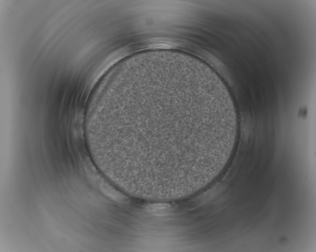 X0000113951186200910231959