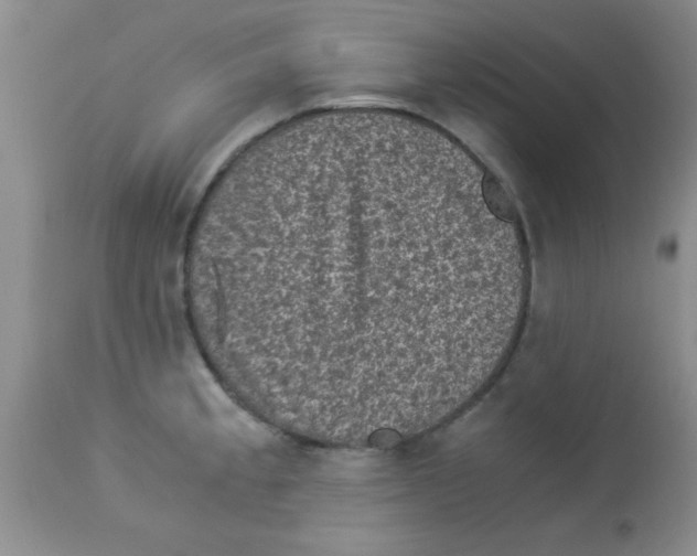 X0000113951189200910231959
