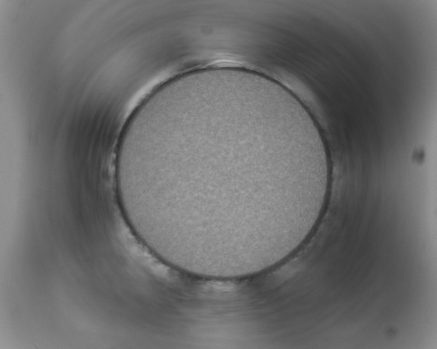 X0000113951190200910231959