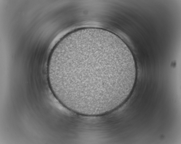 X0000113951192200910231959