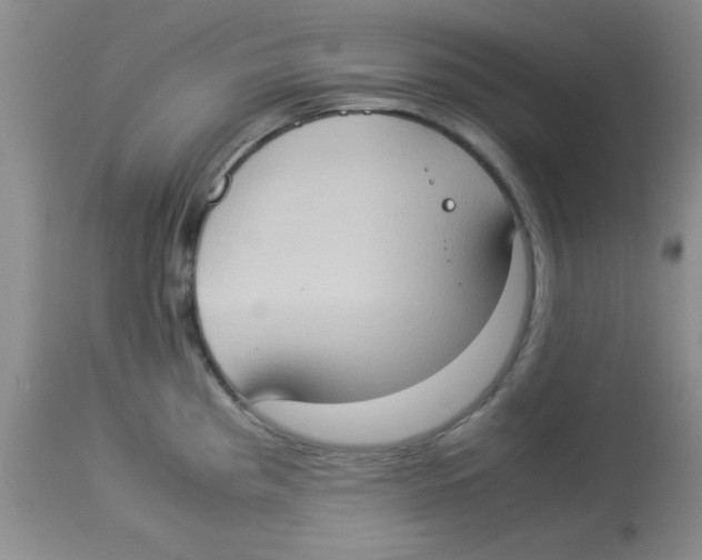 X0000113951193200910231959