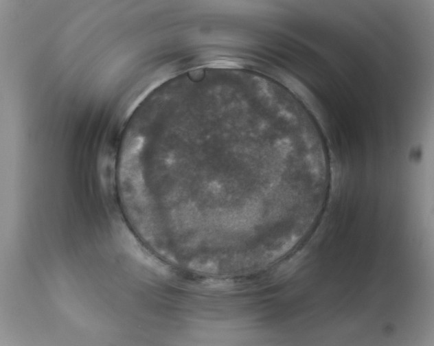 X0000113951194200910231959