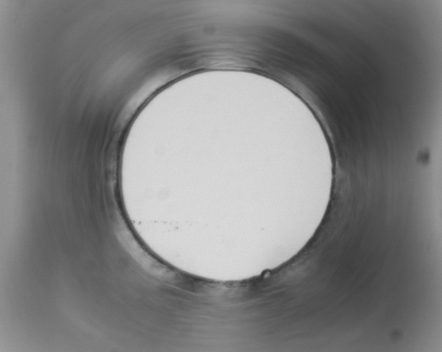 X0000113951195200910231959