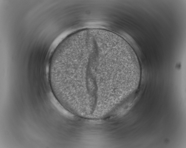 X0000113951196200910231959