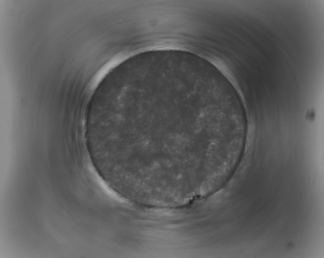 X0000113951197200910231959
