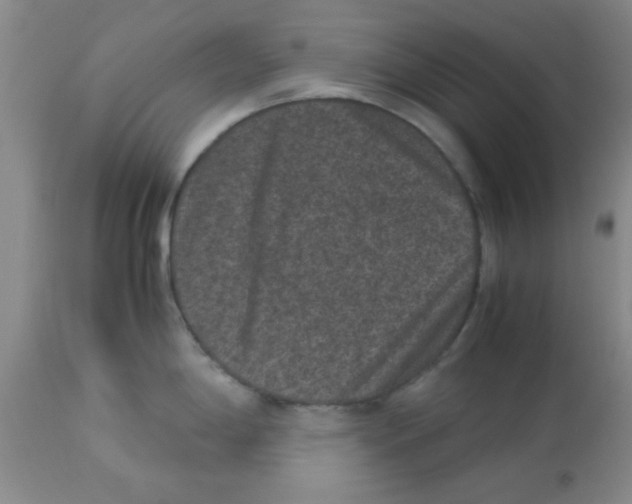 X0000113951198200910231959