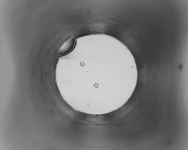 X0000113951201200910231958