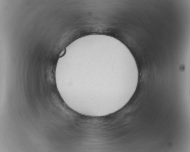 X0000113951202200910231958