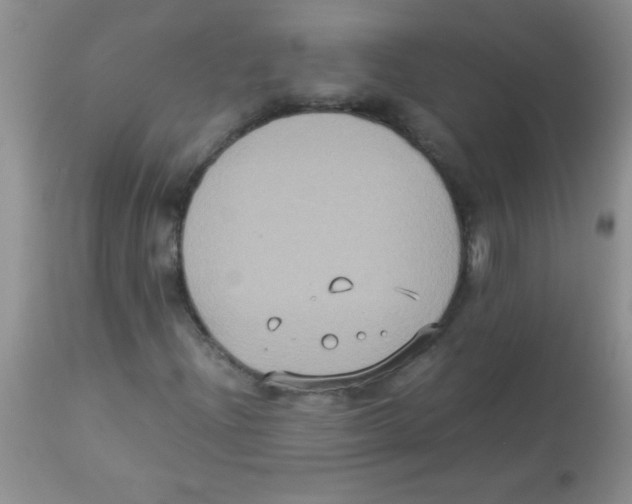 X0000113951204200910231958