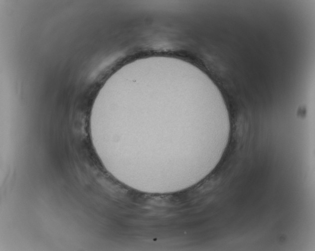 X0000113951205200910231958