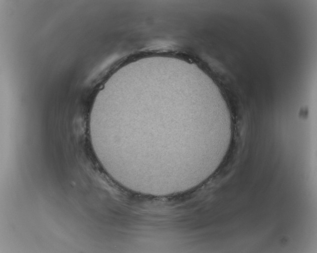 X0000113951206200910231959