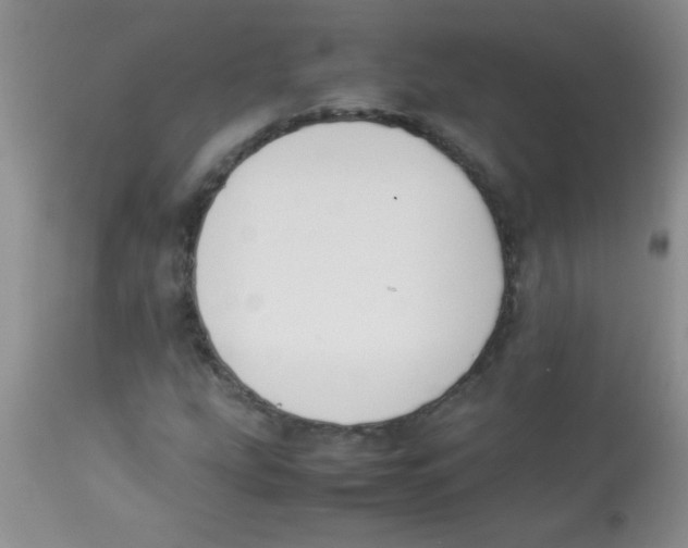 X0000113951207200910231959