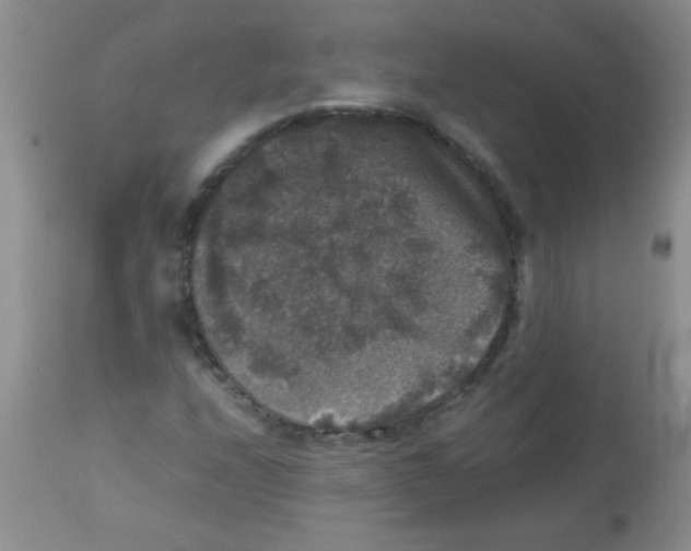 X0000113951208200910231959