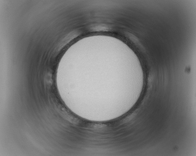 X0000113951209200910231959