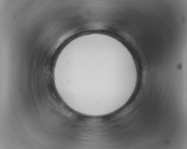 X0000113951210200910231959