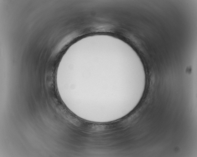 X0000113951211200910231959