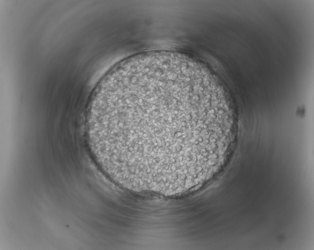 X0000113951212200910231959