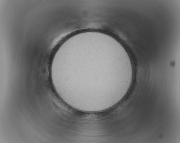 X0000113951214200910231959