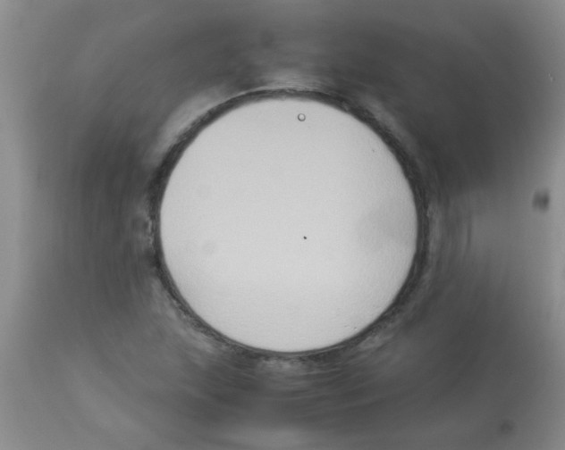 X0000113951215200910231959