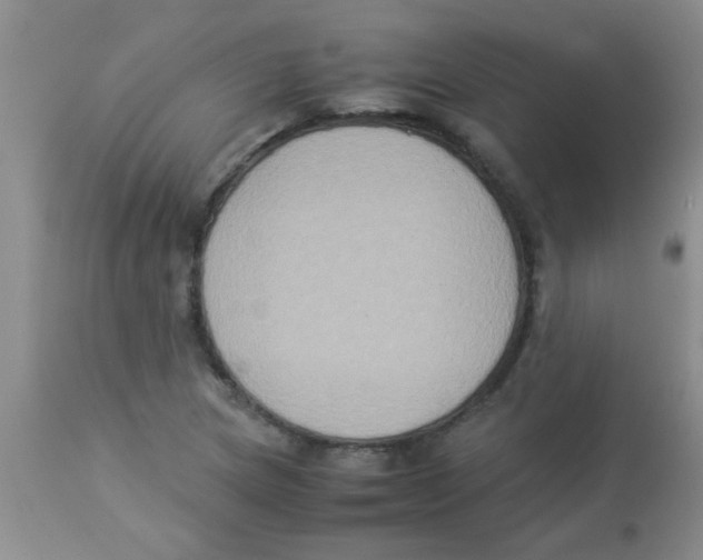 X0000113951217200910231959