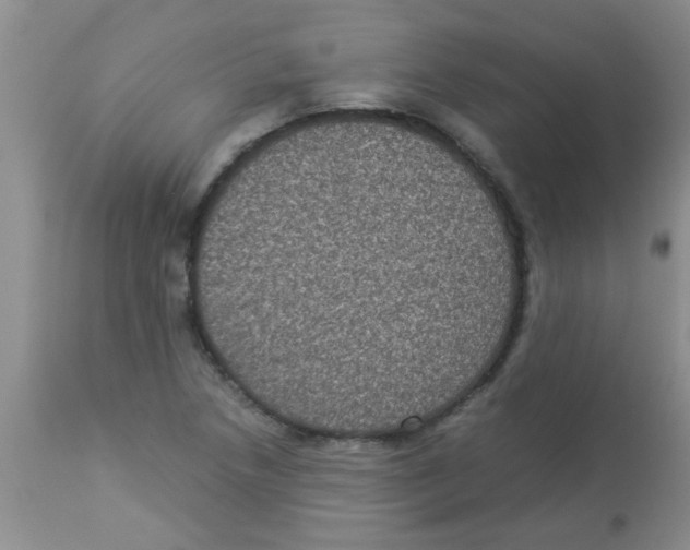 X0000113951218200910231959